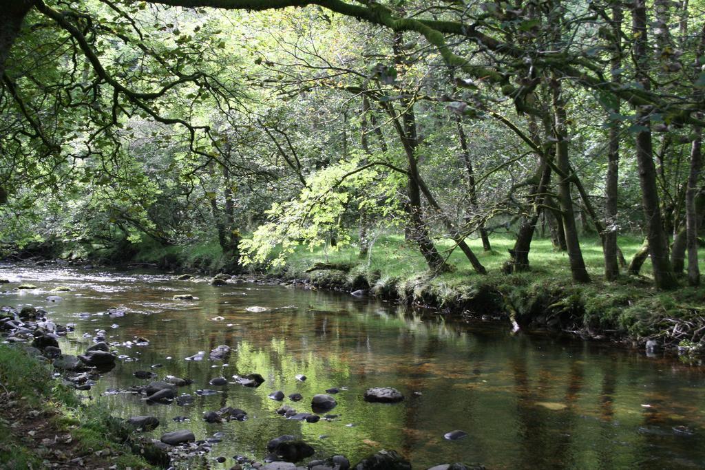 Nant Ddu Lodge Hotel&Spa Merthyr Tydfil Buitenkant foto