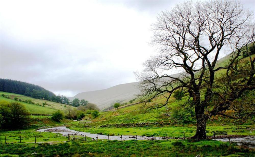 Nant Ddu Lodge Hotel&Spa Merthyr Tydfil Buitenkant foto